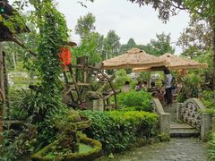 -青城甲(青城山店)