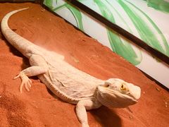 -藦茜花园宠物主题亲子互动体验馆(国顺东路店)