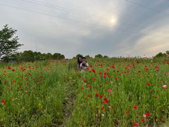 -菊园百果园