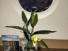 -赫帝拉航空主题餐厅(南宁店)