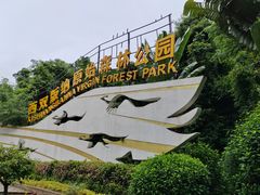 -西双版纳原始森林公园