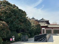 -华清宫景区