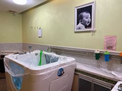 -生命加•Q考拉月子会所(玫瑰园店)