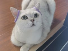 -宠颐生中康贝怡动物医院