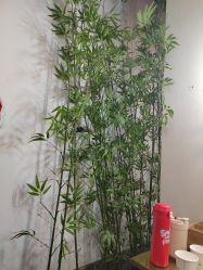 -盘子女人坊古装写真摄影(天津总店)