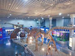 -国家自然博物馆