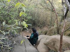 -灵岩山风景区