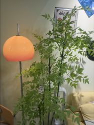 -变美丽半永久纹眉连锁·机器野生眉•洗眉