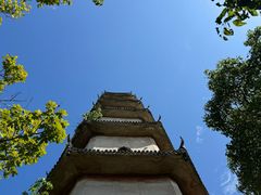 -江心屿景区