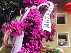 -东南花都花博园