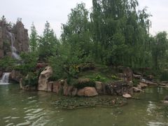 -秀丽东方
