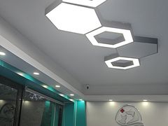 -博特宠物医院24h犬猫全科.骨科·异宠