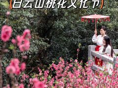 -桃花涧
