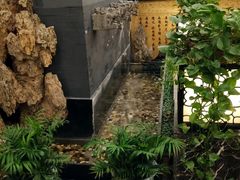 大堂-羲和雅苑•北京烤鸭(平安国际金融中心店)