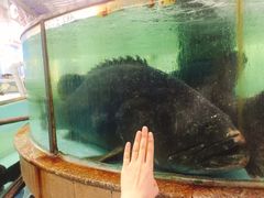 -大天然酒店(军民路店)