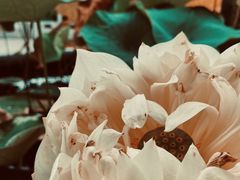 -粤珍轩.创始店.始于2001(含光门店)
