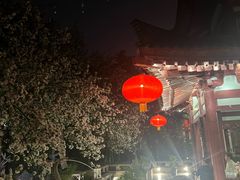 -大唐博相府酒店·陕西官府菜