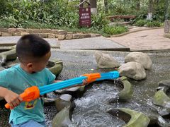 -成都市活水公园