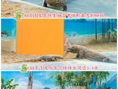 -广州长隆野生动物世界