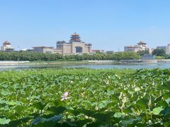 -莲花池公园