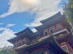 -新加坡佛牙寺龙华院