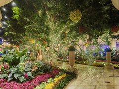 -拉斯维加斯永利酒店