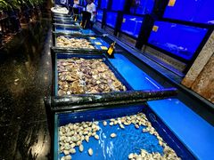 -万宝海鲜舫(劳动公园店)