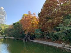 -深圳国际园林花卉博览园