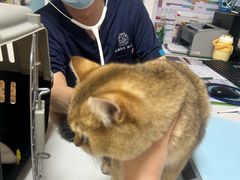 -美联众合24小时·皮肤科·外科·全科诊疗中心(华苑分院)