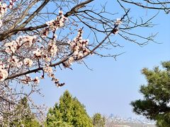 -北京西山国家森林公园