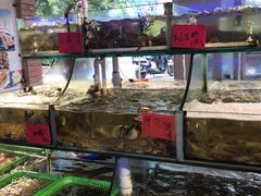 水产区-友强·23年特色海鲜大排档(厦门店)