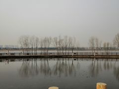 -绿堤公园