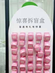 -凡碧诗毛孔清洁收细