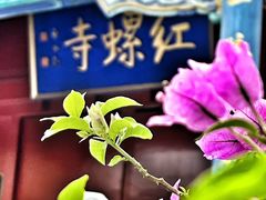 -红螺寺