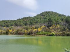 -广州白江湖森林公园