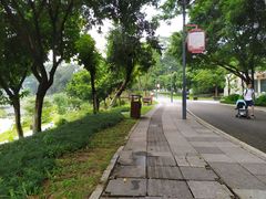 -东莞植物园