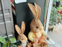 -FEI FEI FLOWER鲜花店·气球派对·宝宝宴布置(虹口德必运动Loft店)