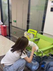 -凡碧诗毛孔清洁收细