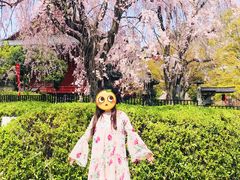 -上野公园花园稻荷神社(忍岡稲荷神社)