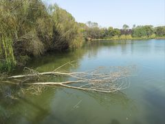 -西安浐灞国家湿地公园