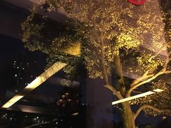 -大可堂普洱茶馆(襄阳南路馆)