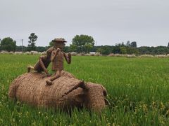 -嘉北郊野公园