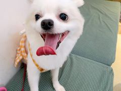 -宠颐生动物医院·心脏科·保险定点(锦阳分院)