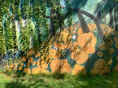 -广州白江湖森林公园