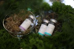 -采之汲·云南白药集团