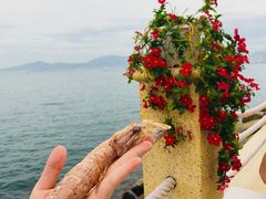 -越海渔村