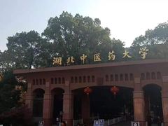 -湖北中医药大学(昙华林校区)
