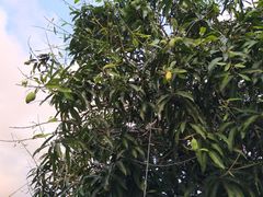 -曼谷素万那普国际机场
