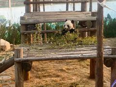 -西霞口神雕山野生动物世界