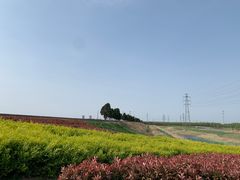 -东营·森林乐园